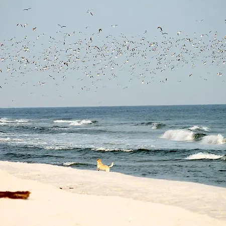 Lägenhet White Pearl 2.07 Timmendorfer Strand