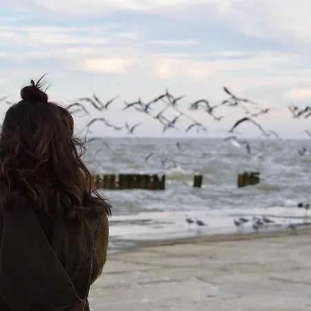 Apartamento White Pearl 2.07